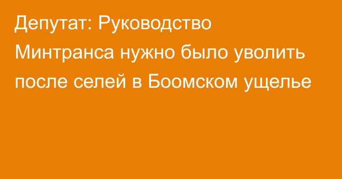 Депутат: Руководство Минтранса нужно было уволить после селей в Боомском ущелье