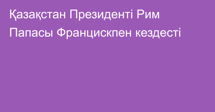 Қазақстан Президенті Рим Папасы Францискпен кездесті