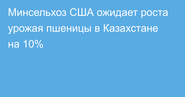 Минсельхоз США ожидает роста урожая пшеницы в Казахстане на 10%