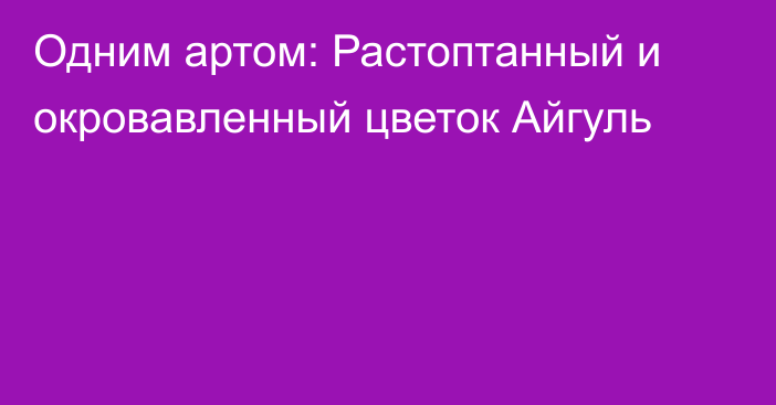 Одним артом: Растоптанный и окровавленный цветок Айгуль