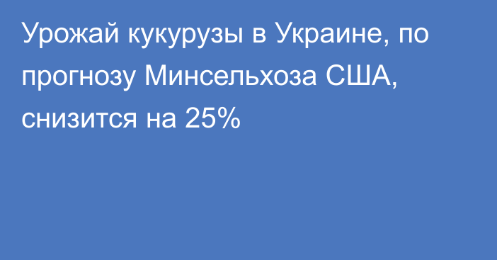 Урожай кукурузы в Украине, по прогнозу Минсельхоза США, снизится на 25%