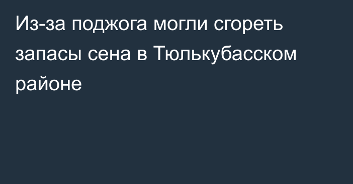 Из-за поджога могли сгореть запасы сена в Тюлькубасском районе