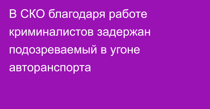 В СКО благодаря работе криминалистов задержан подозреваемый в угоне авторанспорта