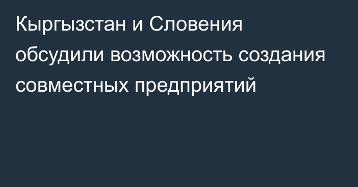 Кыргызстан и Словения обсудили возможность создания совместных предприятий