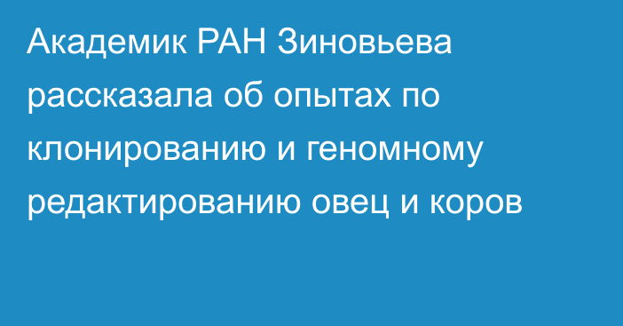 Академик РАН Зиновьева рассказала об опытах по клонированию и геномному редактированию овец и коров