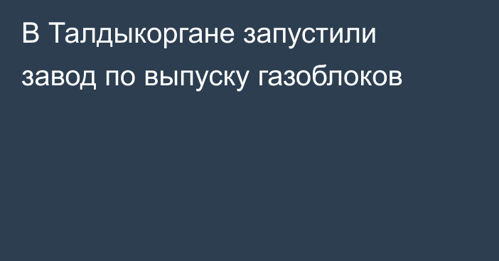 В Талдыкоргане запустили завод по выпуску газоблоков