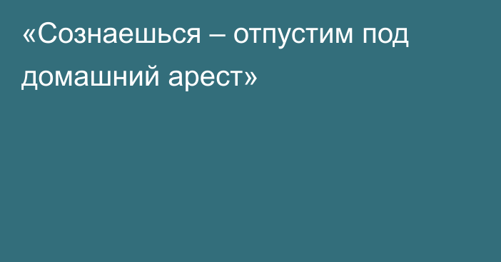 «Сознаешься – отпустим под домашний арест»