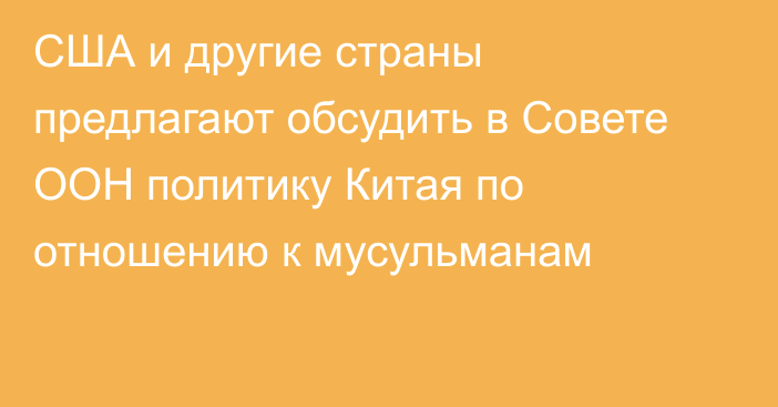 США и другие страны предлагают обсудить в Совете ООН политику Китая по отношению к мусульманам