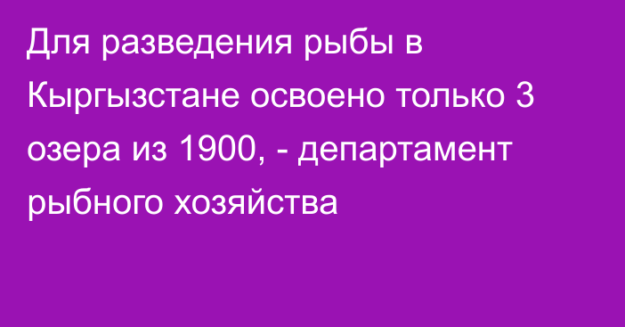 Для разведения рыбы в Кыргызстане освоено только 3 озера из 1900, - департамент рыбного хозяйства