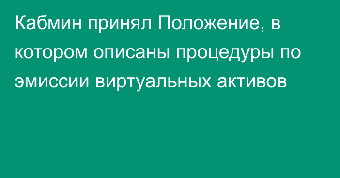 Кабмин принял Положение, в котором описаны процедуры по эмиссии виртуальных активов