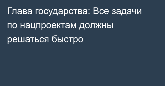 Глава государства: Все задачи по нацпроектам должны решаться быстро