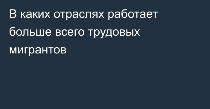 В каких отраслях работает больше всего трудовых мигрантов