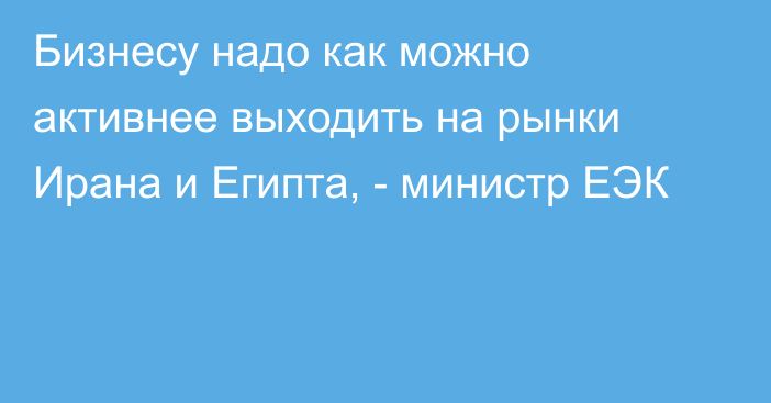 Бизнесу надо как можно активнее выходить на рынки Ирана и Египта, - министр ЕЭК