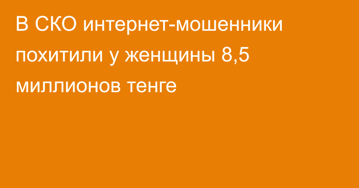 В СКО  интернет-мошенники похитили у женщины 8,5 миллионов тенге