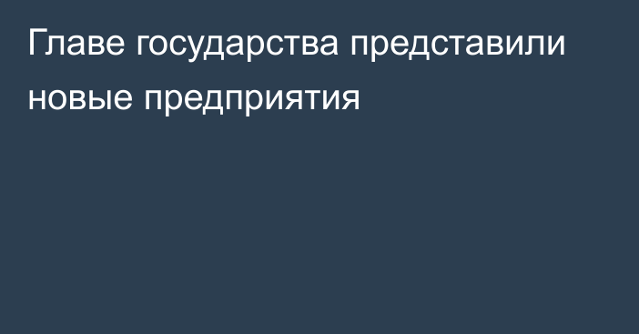 Главе государства представили новые предприятия