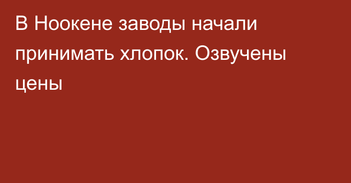 В Ноокене заводы начали принимать хлопок. Озвучены цены