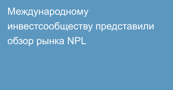 Международному инвестсообществу представили обзор рынка NPL