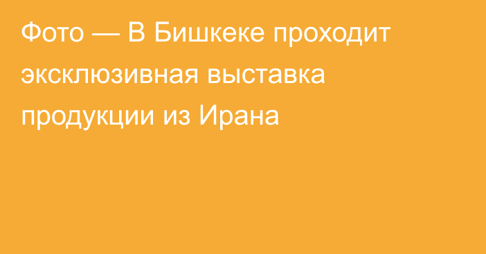 Фото — В Бишкеке проходит эксклюзивная выставка продукции из Ирана