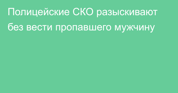 Полицейские СКО разыскивают без вести пропавшего мужчину