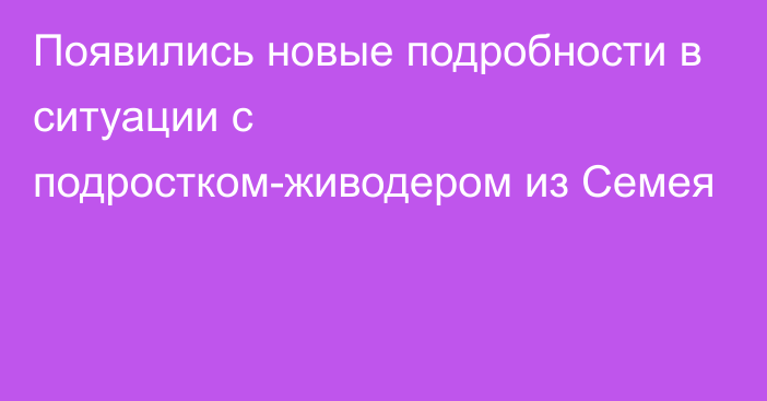 Появились новые подробности в ситуации с подростком-живодером из Семея