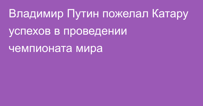 Владимир Путин пожелал Катару успехов в проведении чемпионата мира