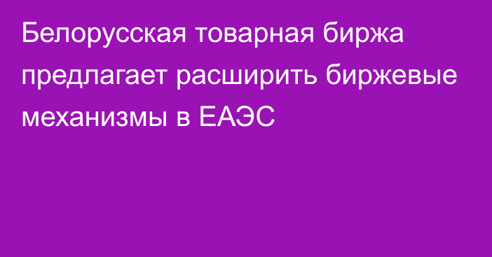 Белорусская товарная биржа предлагает расширить биржевые механизмы в ЕАЭС