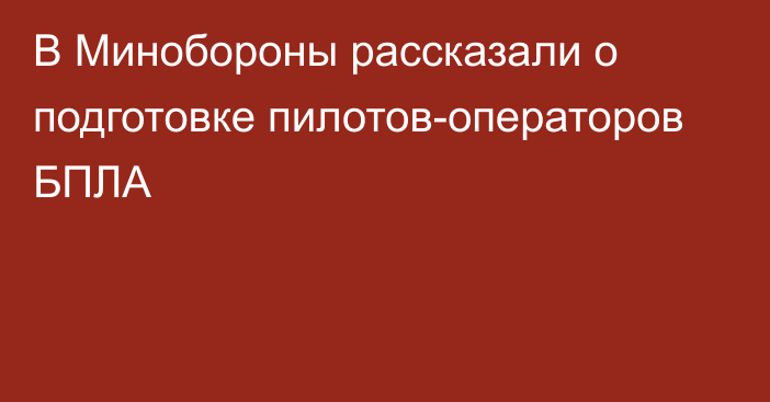 В Минобороны рассказали о подготовке пилотов-операторов БПЛА