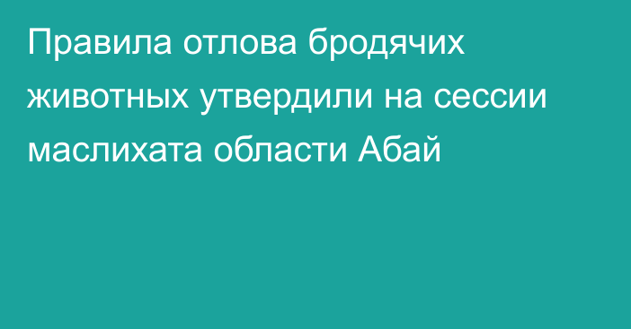 Правила отлова бродячих животных утвердили на сессии маслихата области Абай