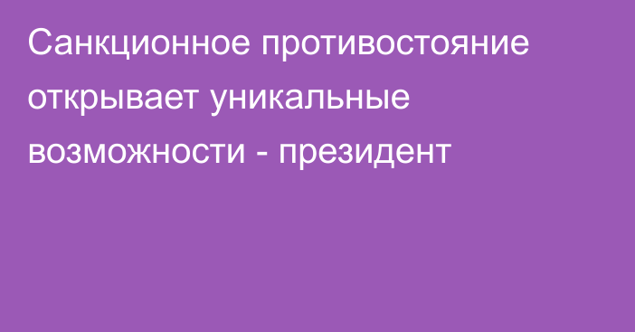 Санкционное противостояние открывает уникальные возможности - президент