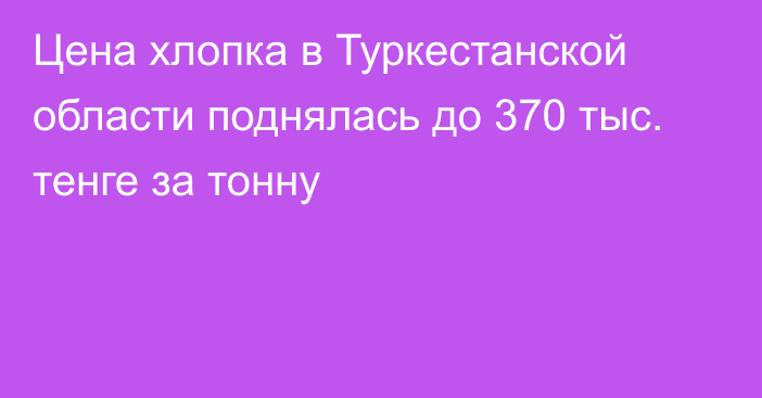 Цена хлопка в Туркестанской области поднялась до 370 тыс. тенге за тонну