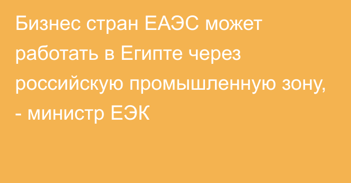 Бизнес стран ЕАЭС может работать в Египте через российскую промышленную зону, - министр ЕЭК