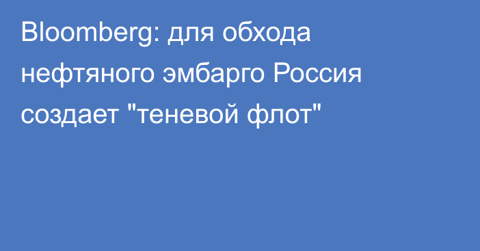 Bloomberg: для обхода нефтяного эмбарго Россия создает 