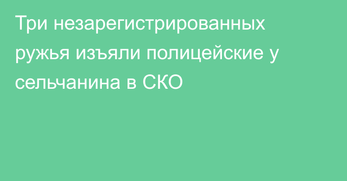 Три незарегистрированных ружья изъяли полицейские у сельчанина в СКО