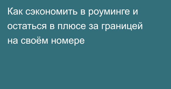 Как сэкономить в роуминге и остаться в плюсе за границей на своём номере