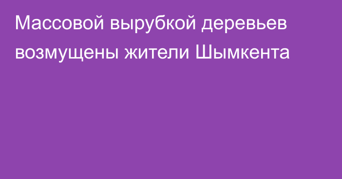 Массовой вырубкой деревьев возмущены жители Шымкента