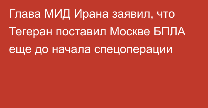 Глава МИД Ирана заявил, что Тегеран поставил Москве БПЛА еще до начала спецоперации