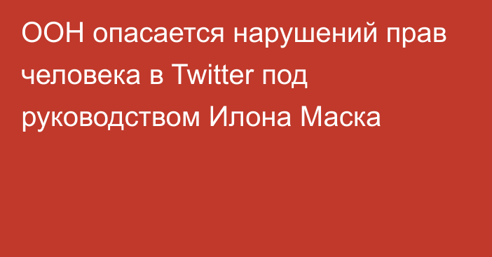 ООН опасается нарушений прав человека в Twitter под руководством Илона Маска