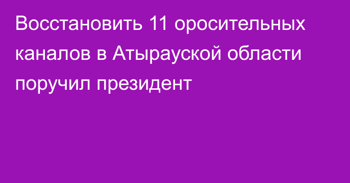 Восстановить 11 оросительных каналов в Атырауской области поручил президент