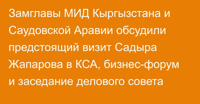 Замглавы МИД Кыргызстана и Саудовской Аравии обсудили предстоящий визит Садыра Жапарова в КСА, бизнес-форум и заседание делового совета