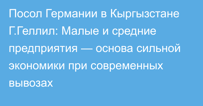 Посол Германии в Кыргызстане Г.Геллил: Малые и средние предприятия — основа сильной экономики при современных вывозах