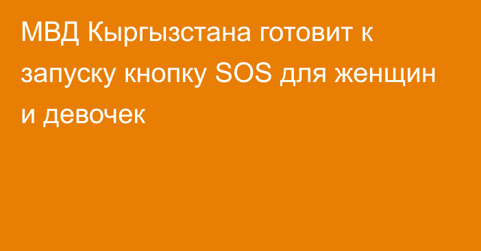 МВД Кыргызстана готовит к запуску кнопку SOS для женщин и девочек