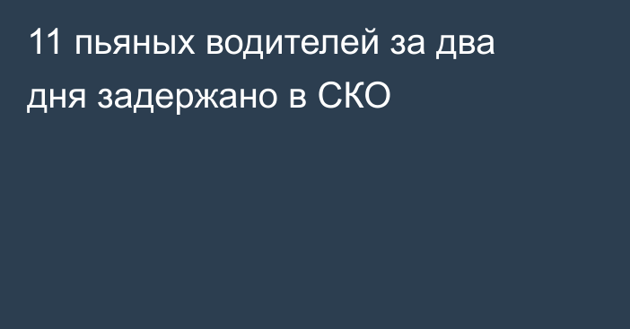 11 пьяных водителей за два дня задержано в СКО