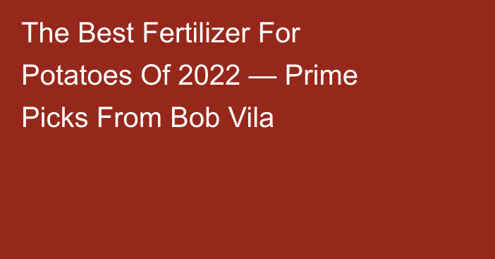 The Best Fertilizer For Potatoes Of 2022 — Prime Picks From Bob Vila
