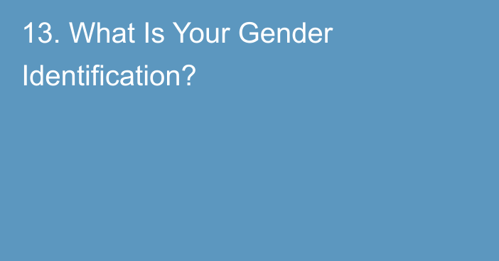 13. What Is Your Gender Identification?