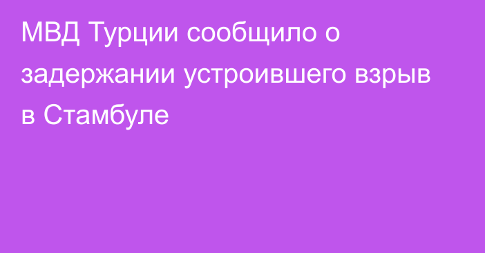 МВД Турции сообщило о задержании устроившего взрыв в Стамбуле