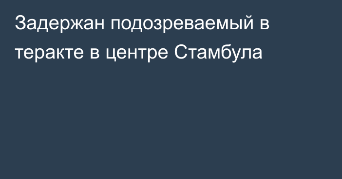 Задержан подозреваемый в теракте в центре Стамбула