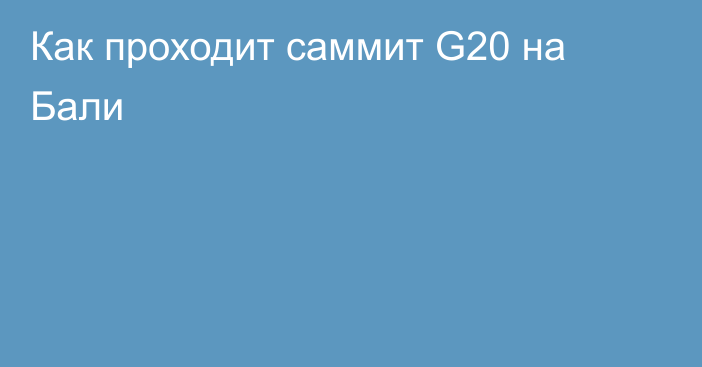 Как проходит саммит G20 на Бали