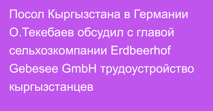 Посол Кыргызстана в Германии О.Текебаев обсудил с главой сельхозкомпании Erdbeerhof Gebesee GmbH трудоустройство кыргызстанцев