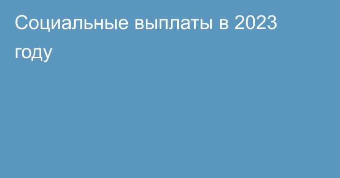 Социальные выплаты в 2023 году