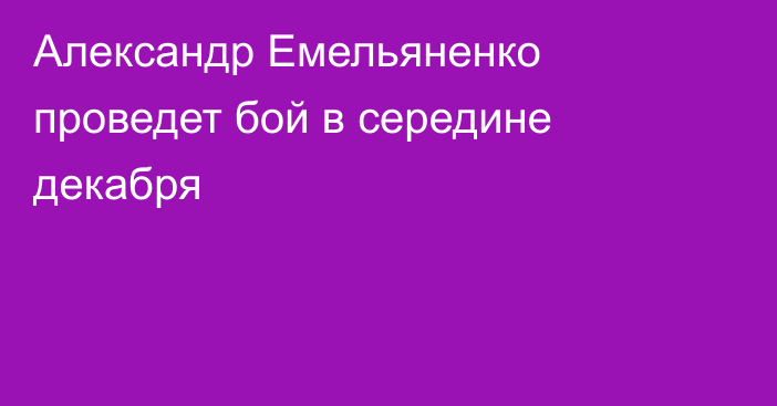 Александр Емельяненко проведет бой в середине декабря